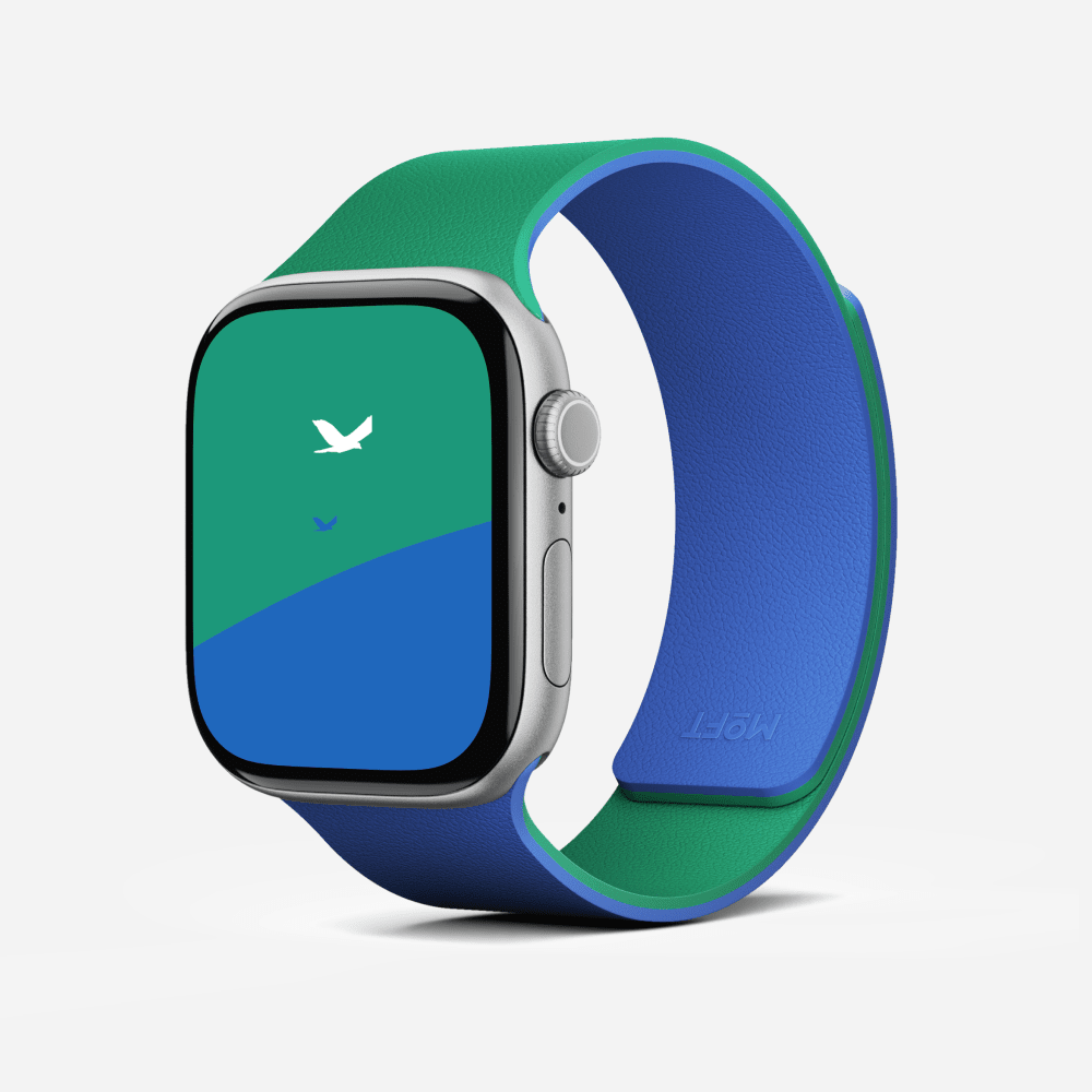 Snap Duo Watch Bands MD025 42 Roam Green x Beyond Blue 