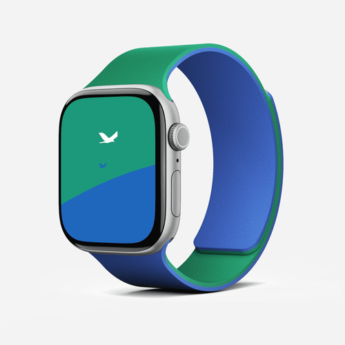 Snap Duo Watch Bands MD025 42 Roam Green x Beyond Blue 